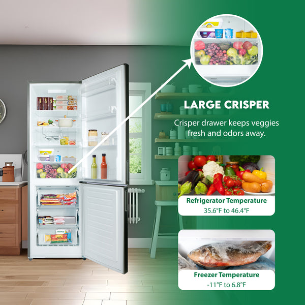 Equator Advanced Appliances 10.8-cu ft Standard-Depth Bottom-Freezer Refrigerator Stainless Steel ) Garage Ready ENERGY STAR Certified